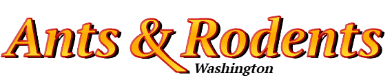 Washington Ant Exterminator & Rodent Control Company Logo